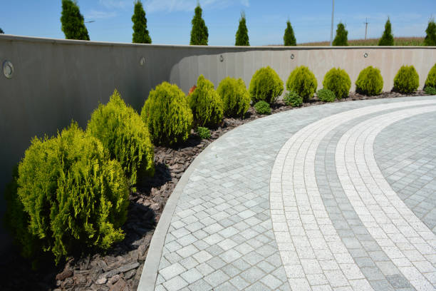 Best Interlocking Driveway Pavers  in Spring, TX